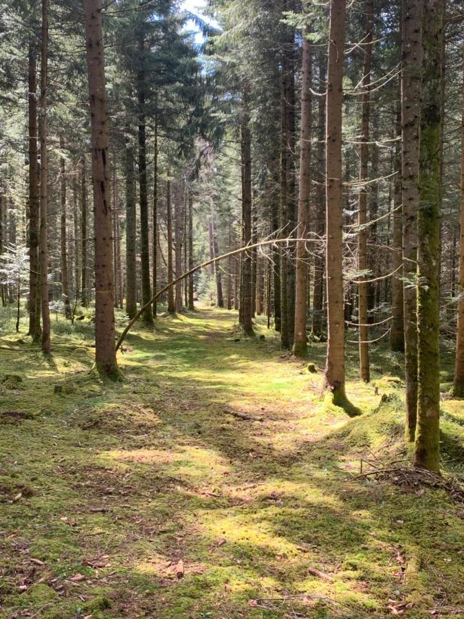 Tarahaus Daire Sankt Georgen im Schwarzwald Dış mekan fotoğraf