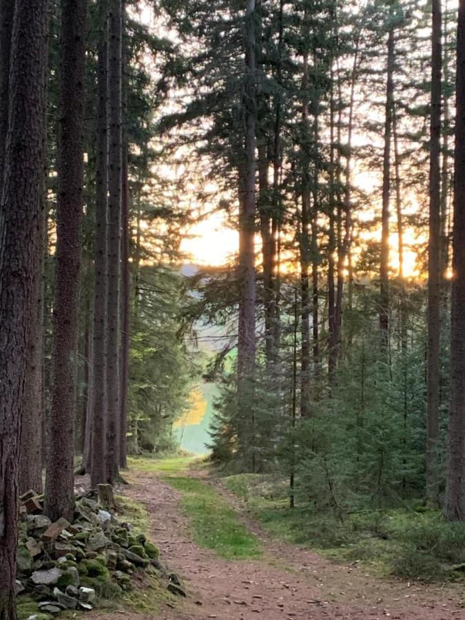Tarahaus Daire Sankt Georgen im Schwarzwald Dış mekan fotoğraf