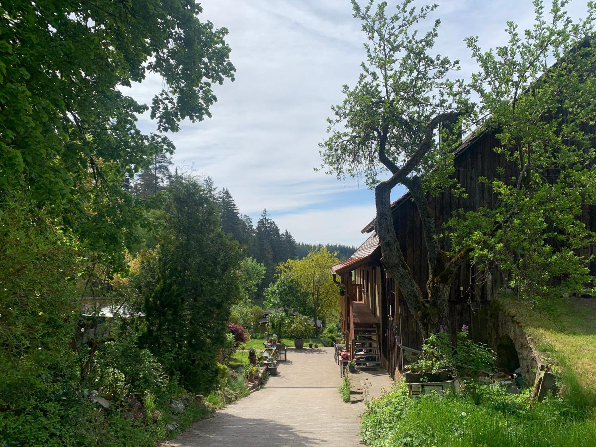 Tarahaus Daire Sankt Georgen im Schwarzwald Dış mekan fotoğraf